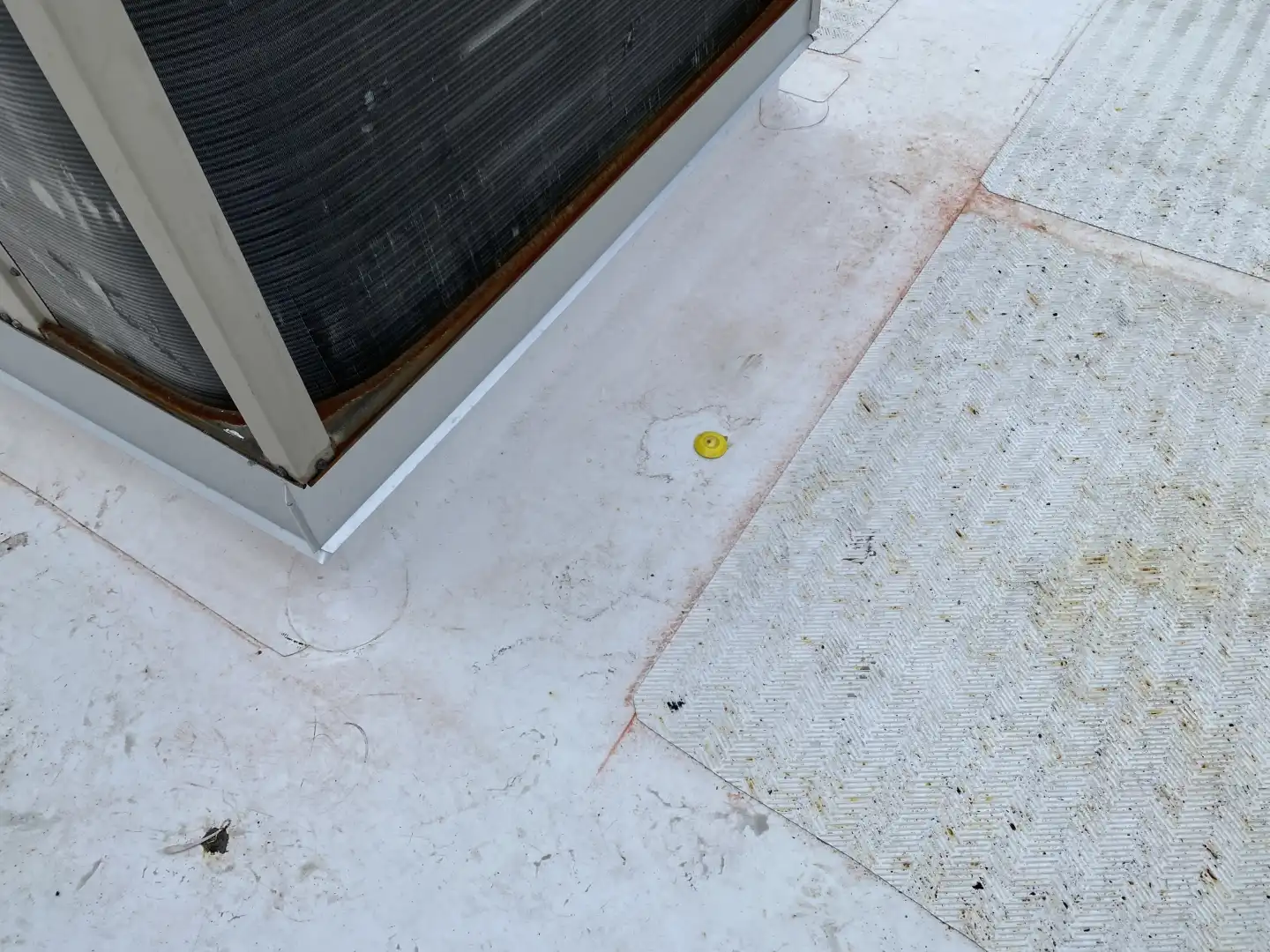 No-Punture gallery photo