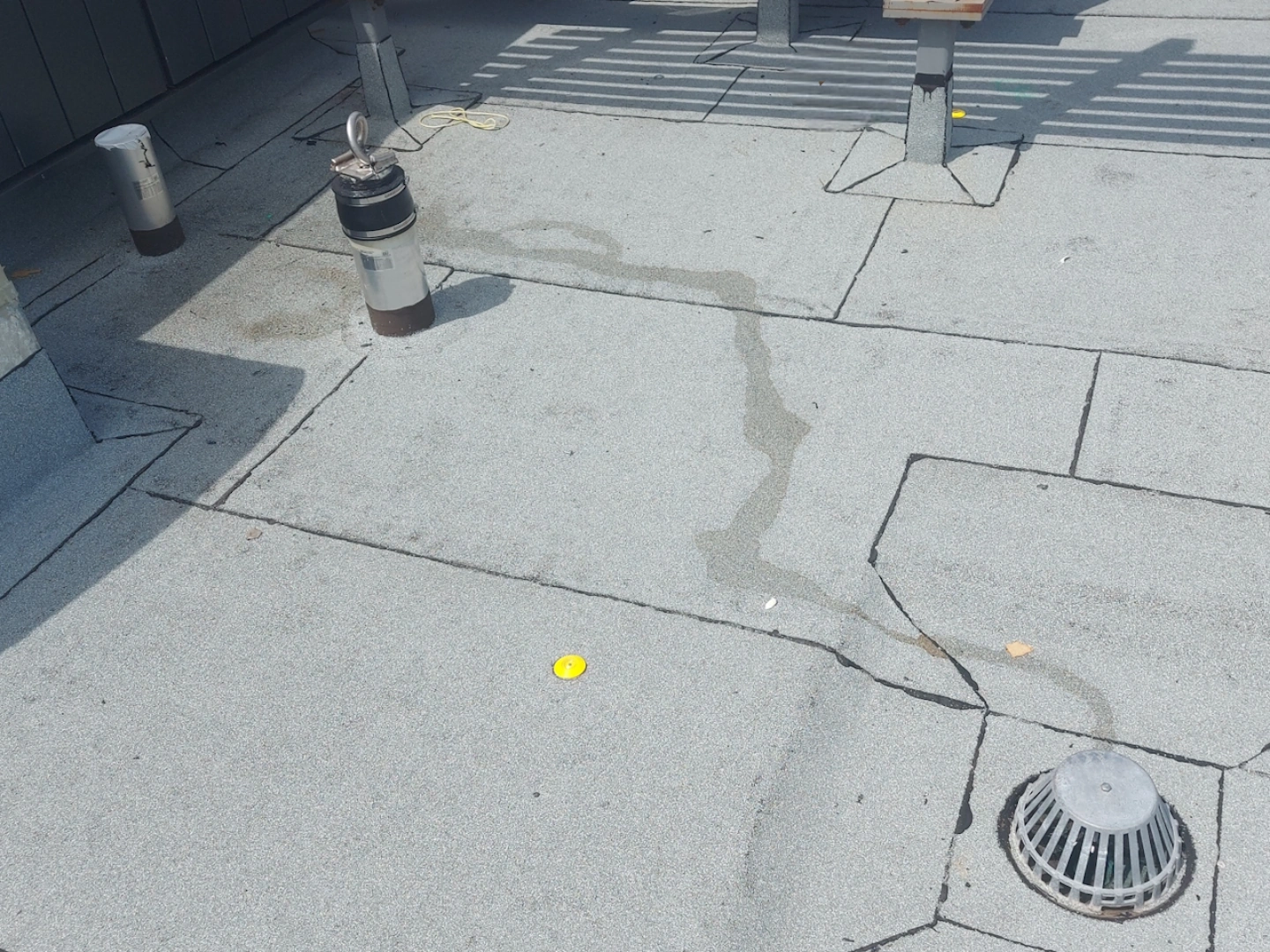 No-Punture gallery photo